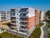 Forma 440779
