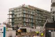 "Rosarium" 360396