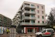 "Rosarium" 360397