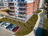 Forma 440781