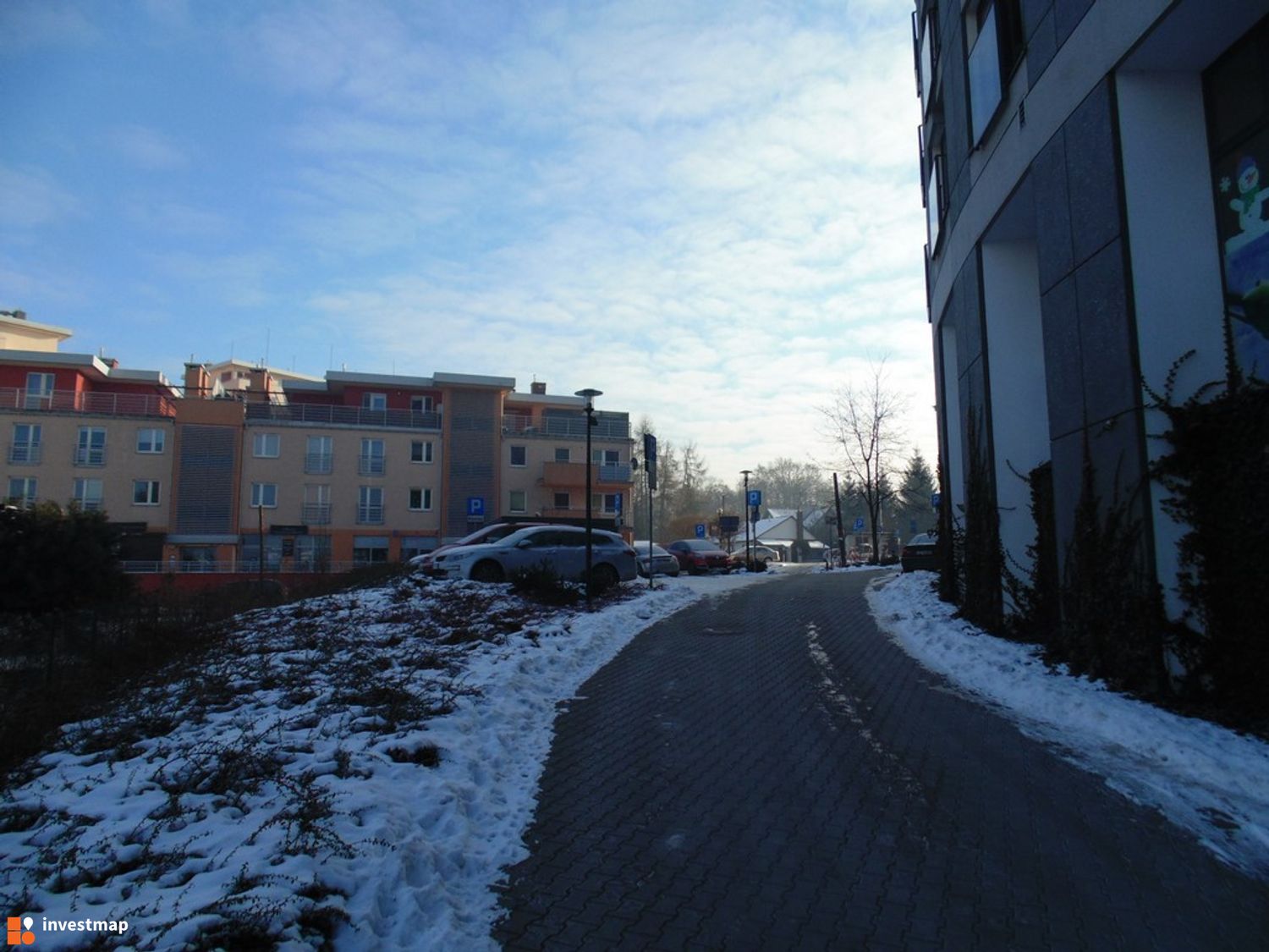 307733_1500x.jpg