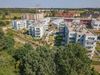 Róży Wiatrów 436501