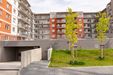 Forma 426962