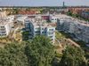 Róży Wiatrów 436502