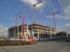 Central Garden 474845
