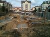 Travova 369888
