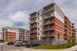 Forma 426976