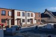 "Gardenia" 418583