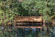 Swojczycki Park "Czarna Woda" 447722