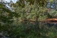 Swojczycki Park "Czarna Woda" 447723