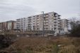 Botanika 467947