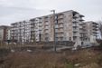 Botanika 467948