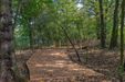 Swojczycki Park "Czarna Woda" 447725