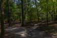 Swojczycki Park "Czarna Woda" 447727
