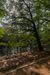 Swojczycki Park "Czarna Woda" 447730