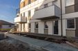 Zielony Brochów 462324
