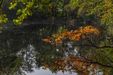 Swojczycki Park "Czarna Woda" 447733