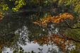 Swojczycki Park "Czarna Woda" 447734
