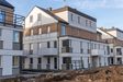 Zielony Brochów 462327