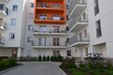 Wilczak 20 510455