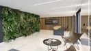 Central Garden 435961