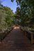 Swojczycki Park "Czarna Woda" 447739