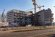 Rychtalska 20 412412
