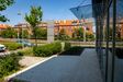 Club House 387325