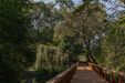 Swojczycki Park "Czarna Woda" 447743