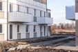 Zielony Brochów 462335