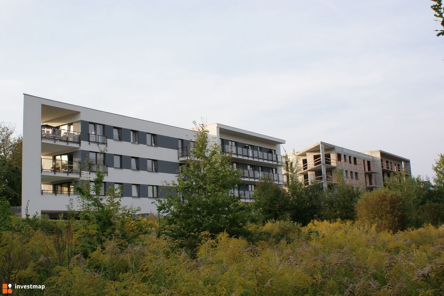 286493_1500x.jpg