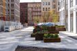 City Forum 423197
