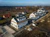 Zielony Brochów 462365