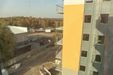 Młodnik 399658