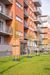Forma 453419