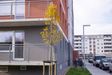 Forma 453424