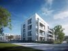 Brawo 449595