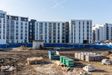 Rychtalska 11 464707