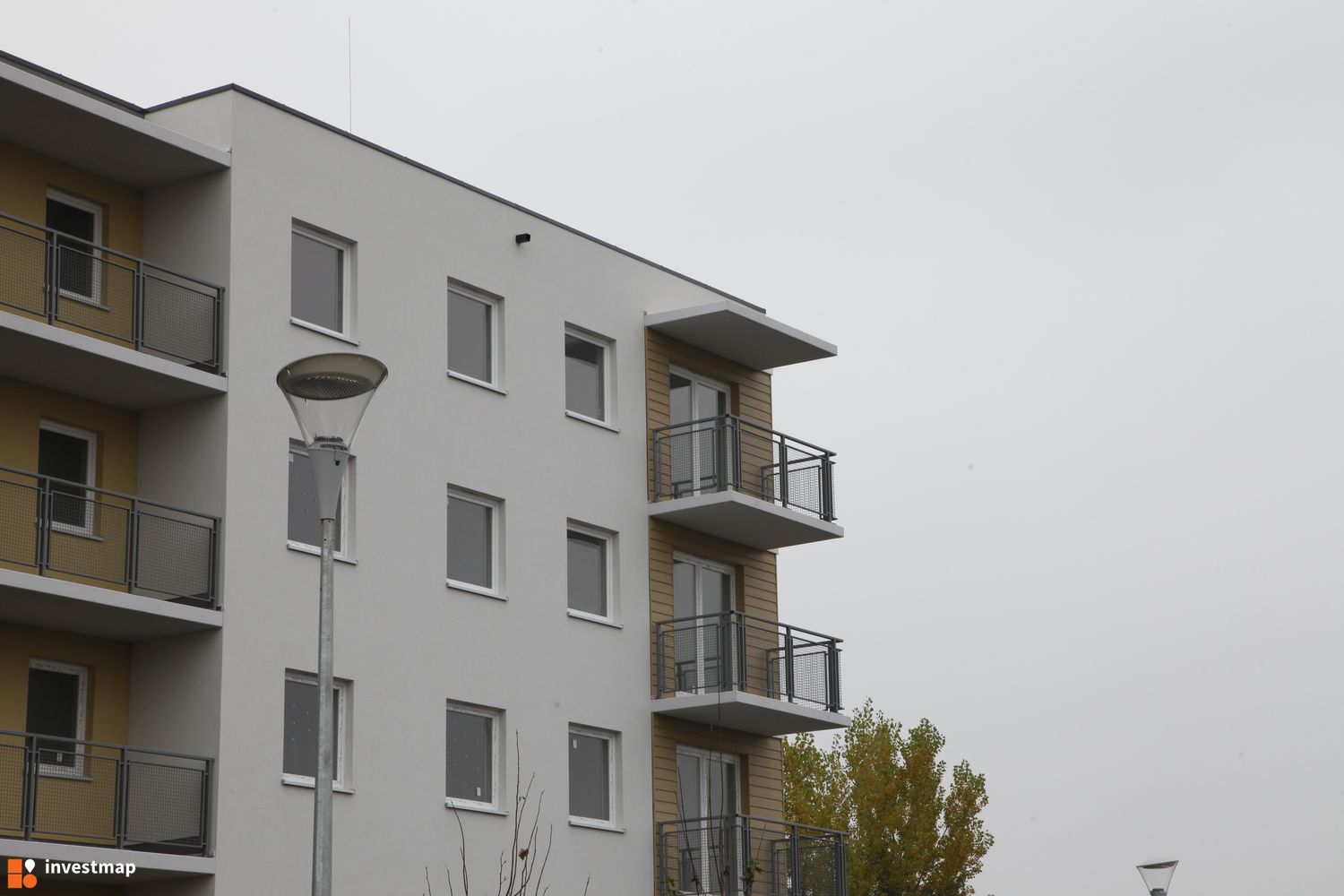 292429_1500x.jpg