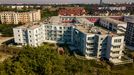 Róży Wiatrów 396623