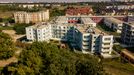 Róży Wiatrów 396625