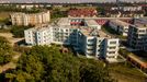 Róży Wiatrów 396626