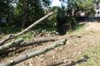 Trasa tramwajowa na Górkę Narodową 488275