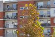 Forma 443990