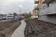 Młodnik 407390