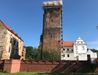 Zamek w Prochowicach (remont) 491362