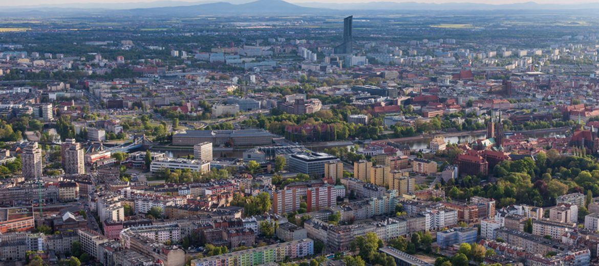 Krzyki na nowo