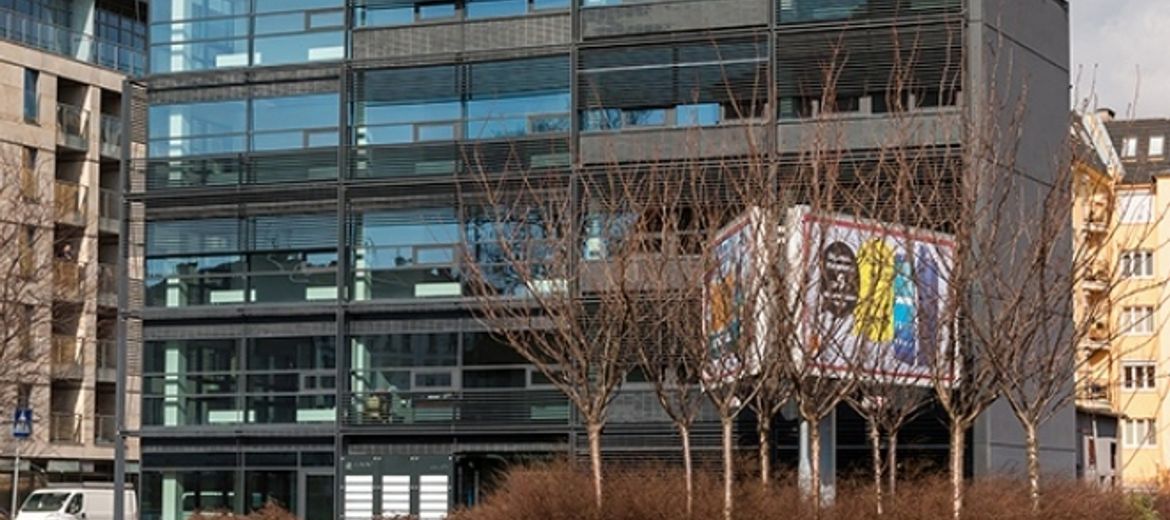 Quadro Office z pozwoleniem