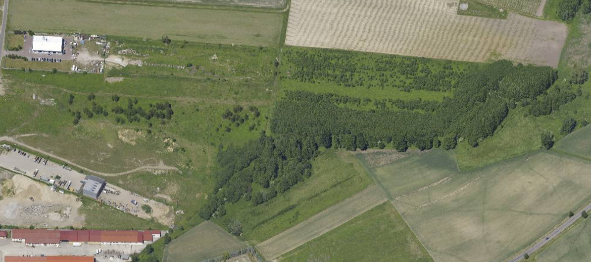 Wrocław: Kilkuhektarowy teren blisko