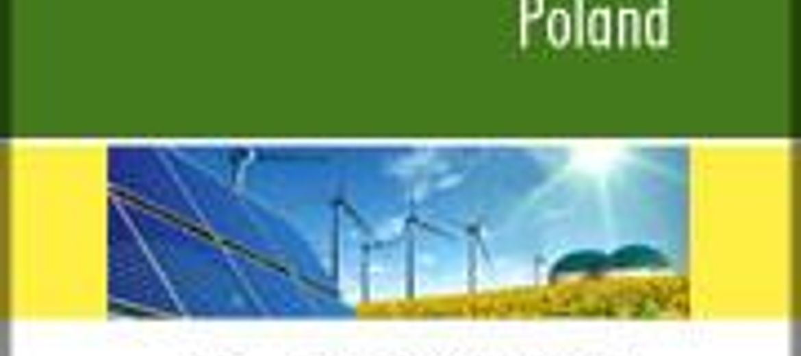 Polska stawia na energię